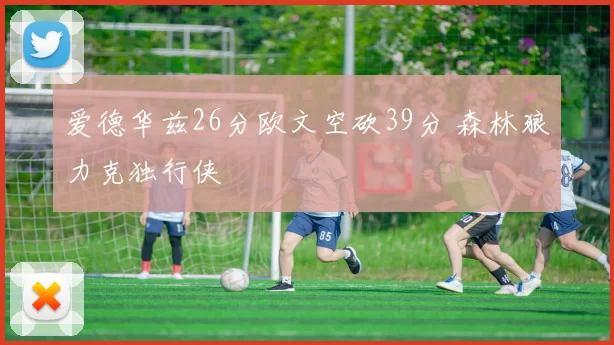 爱德华兹26分欧文空砍39分 森林狼力克独行侠