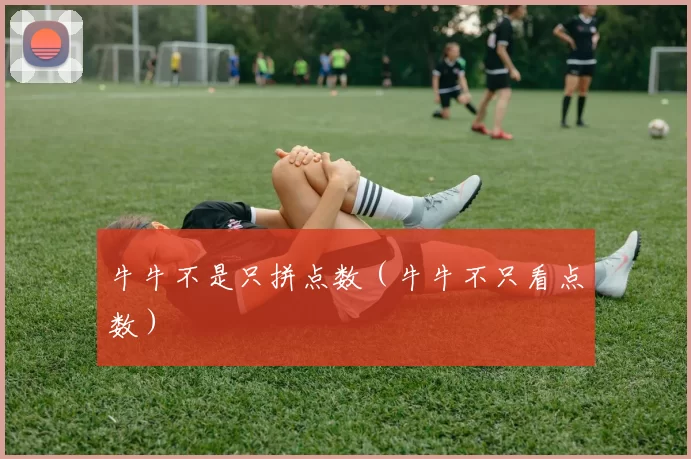 牛牛不是只拼点数（牛牛不只看点数）