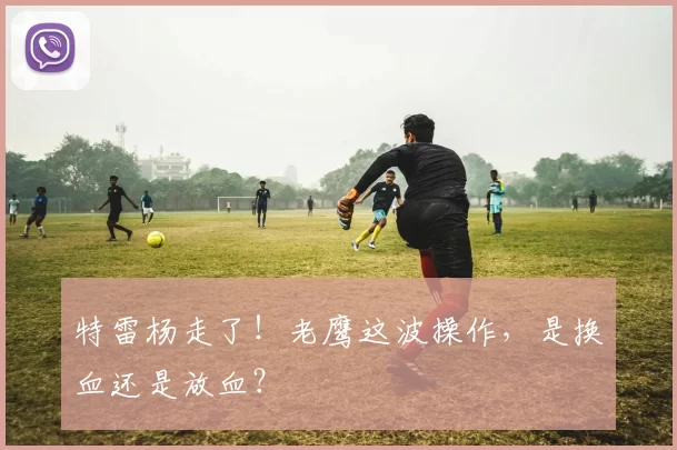 特雷杨走了！老鹰这波操作，是换血还是放血？