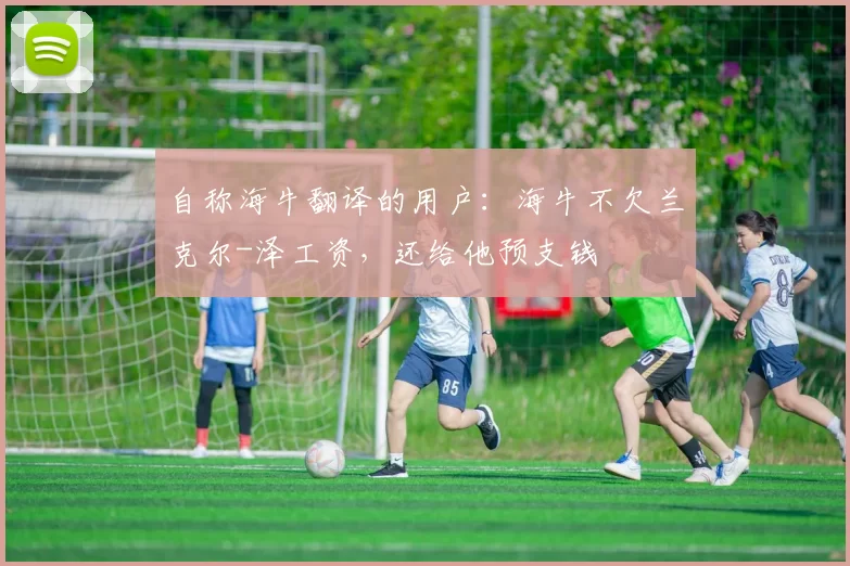 自称海牛翻译的用户：海牛不欠兰克尔-泽工资，还给他预支钱