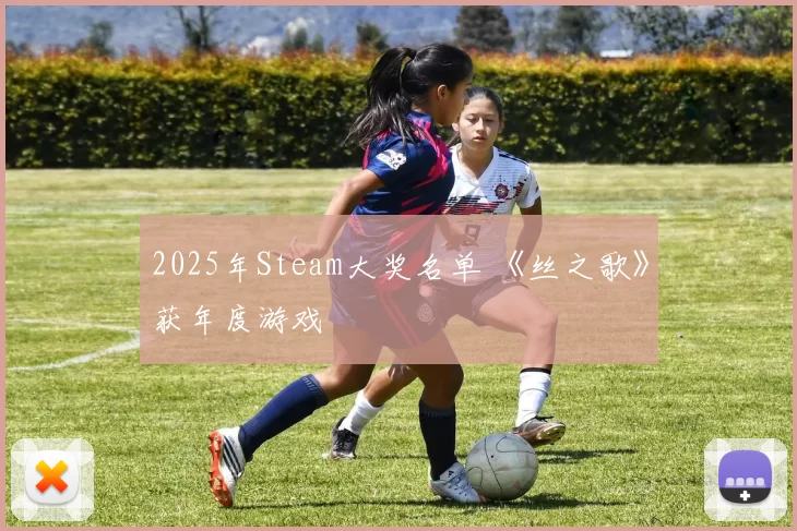 2025年Steam大奖名单 《丝之歌》获年度游戏