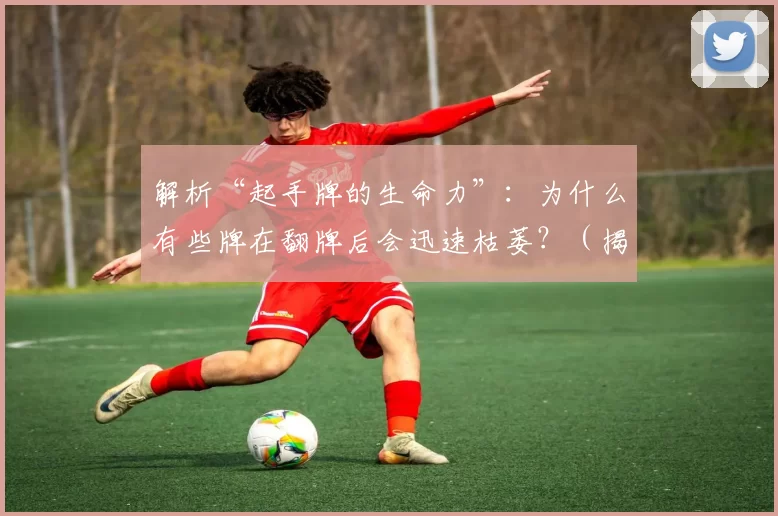 解析“起手牌的生命力”：为什么有些牌在翻牌后会迅速枯萎？（揭秘起手牌的持久度：为何有些牌在翻牌后迅速失色？）