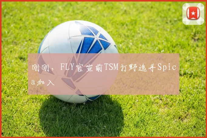 刚刚，FLY官宣前TSM打野选手Spica加入