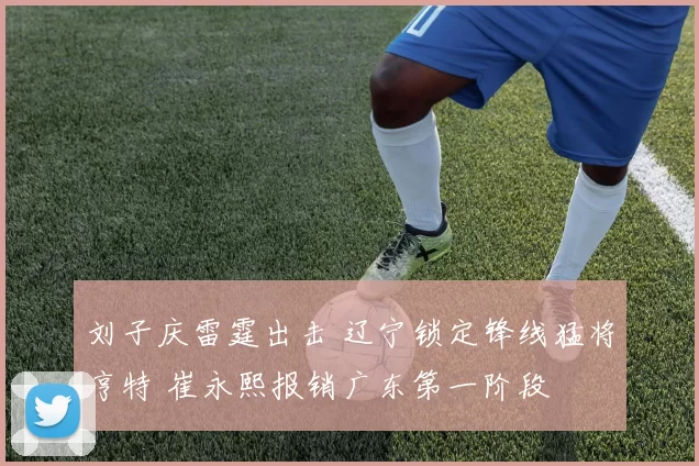 刘子庆雷霆出击 辽宁锁定锋线猛将亨特 崔永熙报销广东第一阶段