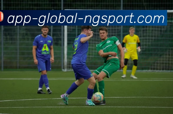 ng体育APP 高清赛事图